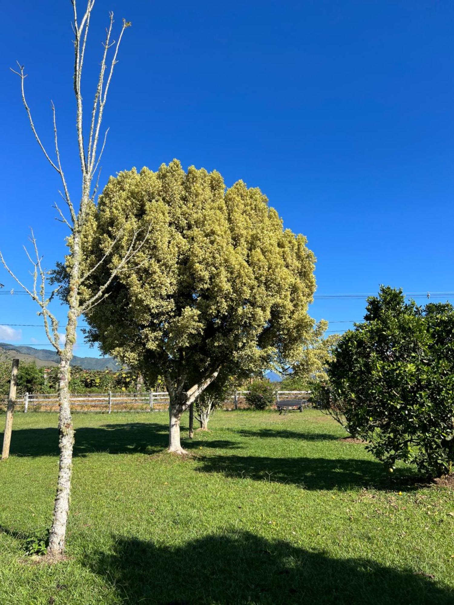 Finca Hotel Paraiso Urrao Kültér fotó